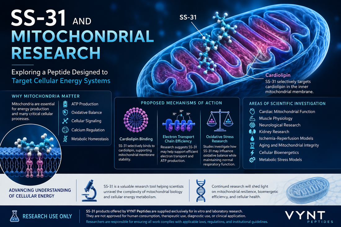 SS-31 and Mitochondrial Research: Exploring a Peptide Designed to Target Cellular Energy Systems